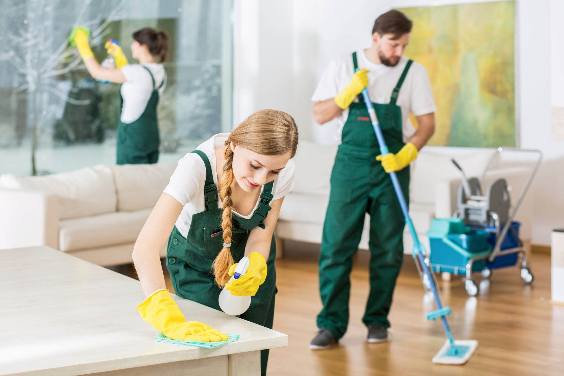 Condo cleaning consultation and service planning