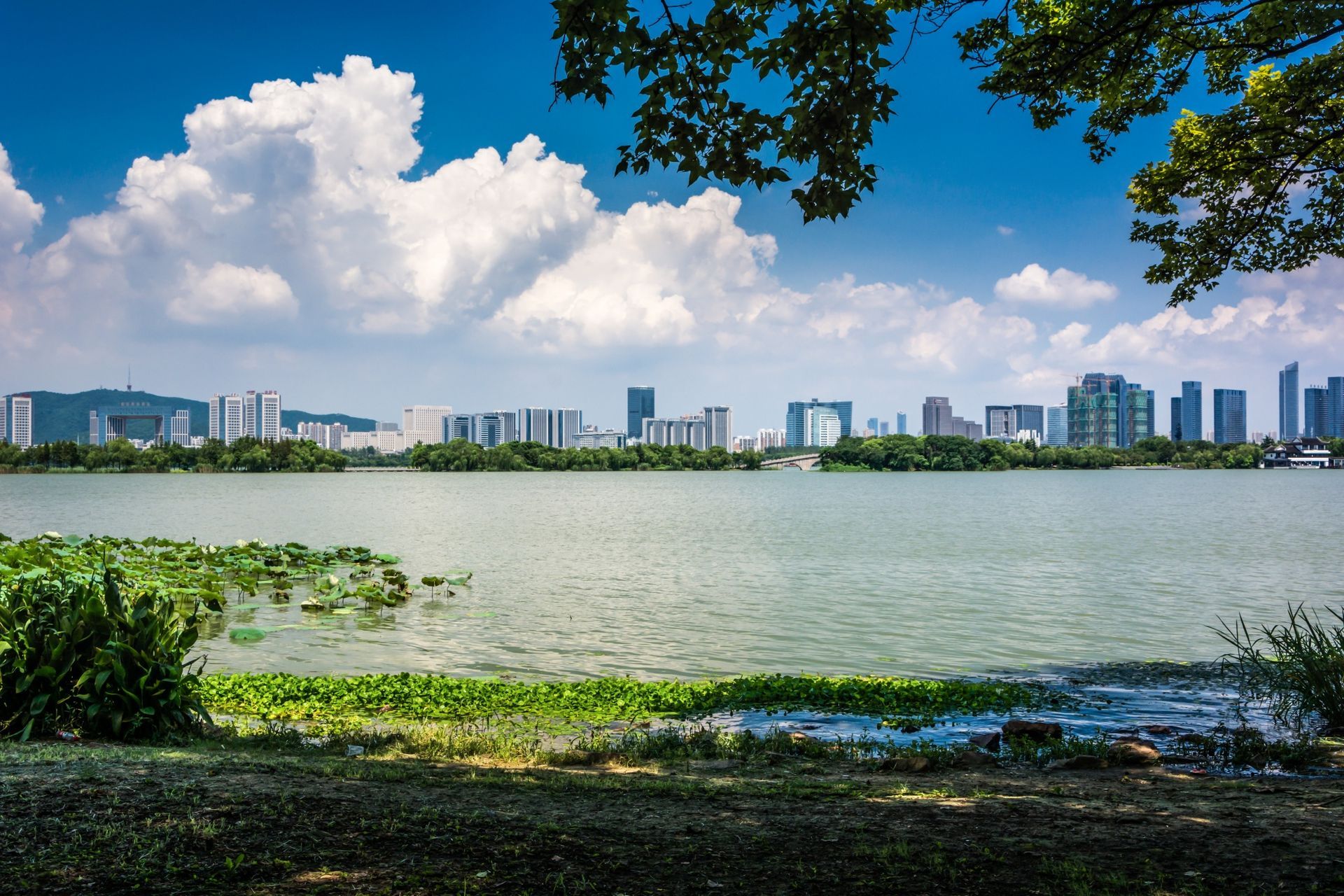 A large body of water with a city skyline in the background
