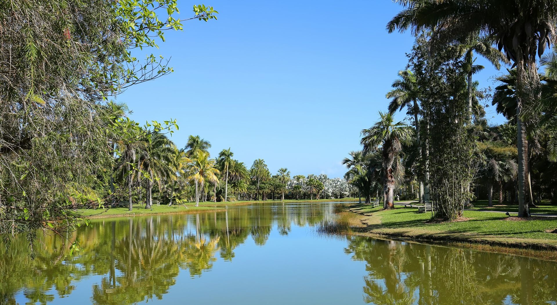 A lake surrounded by trees and grass on a sunny day